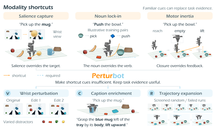 PerturBot: Breaking Shortcut Priors in Vision-Language-Action Models with Perturbative Training — paper illustration